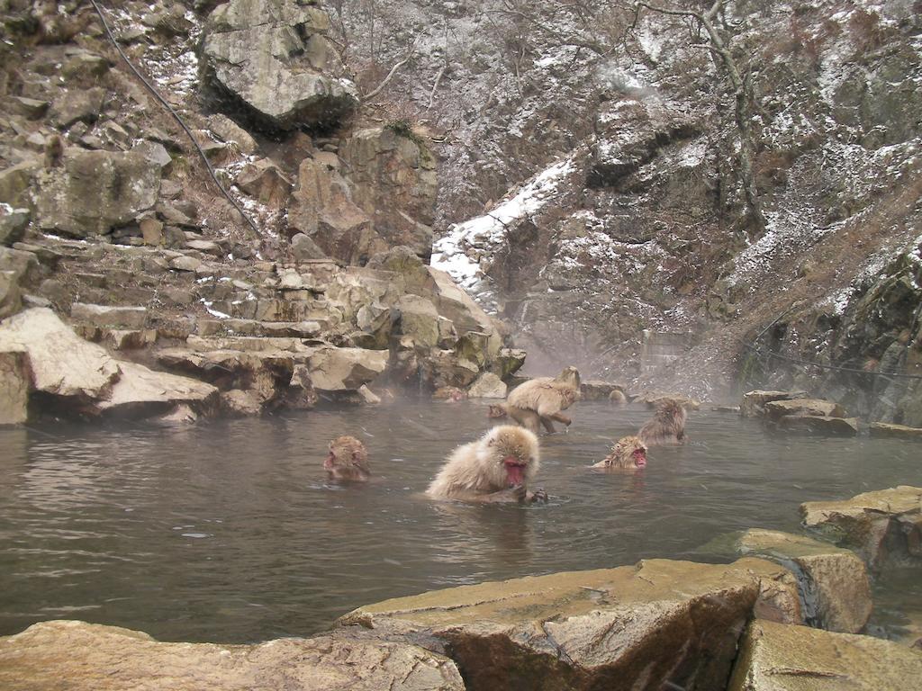 飯山市 アルプバッハ斑尾ヴィラ エクステリア 写真