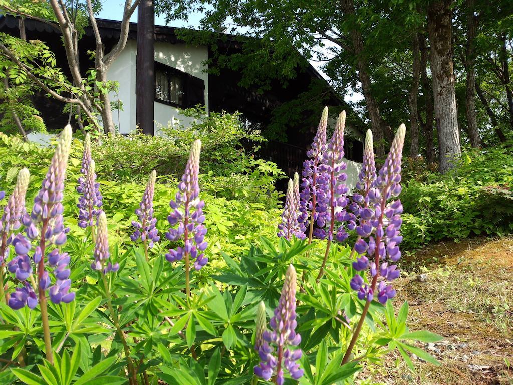 飯山市 アルプバッハ斑尾ヴィラ エクステリア 写真